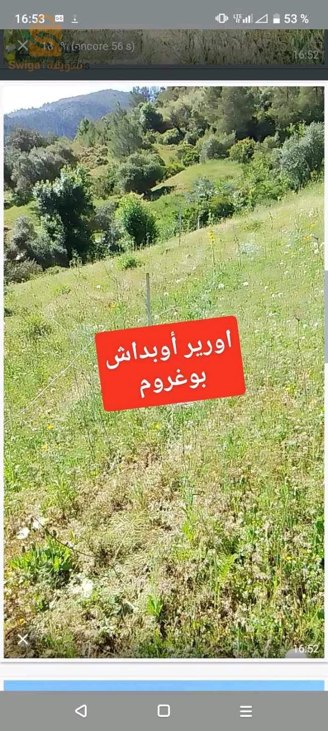 a vendre terrain 40 x 32 mètre (1200 M2 ) située a Boughrom béni ouerthilen.. terrain de construction ou agricole.. électricité gaz..0552528436