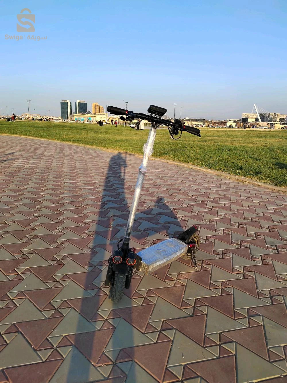 تروتينات