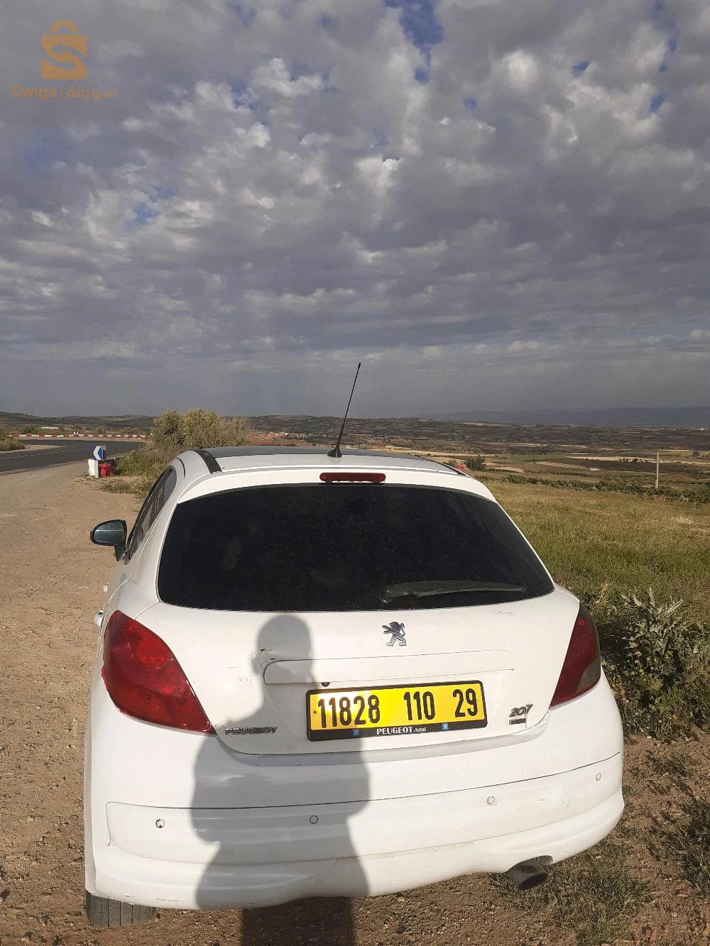 Peugeot 207 2010 29 MASCARA