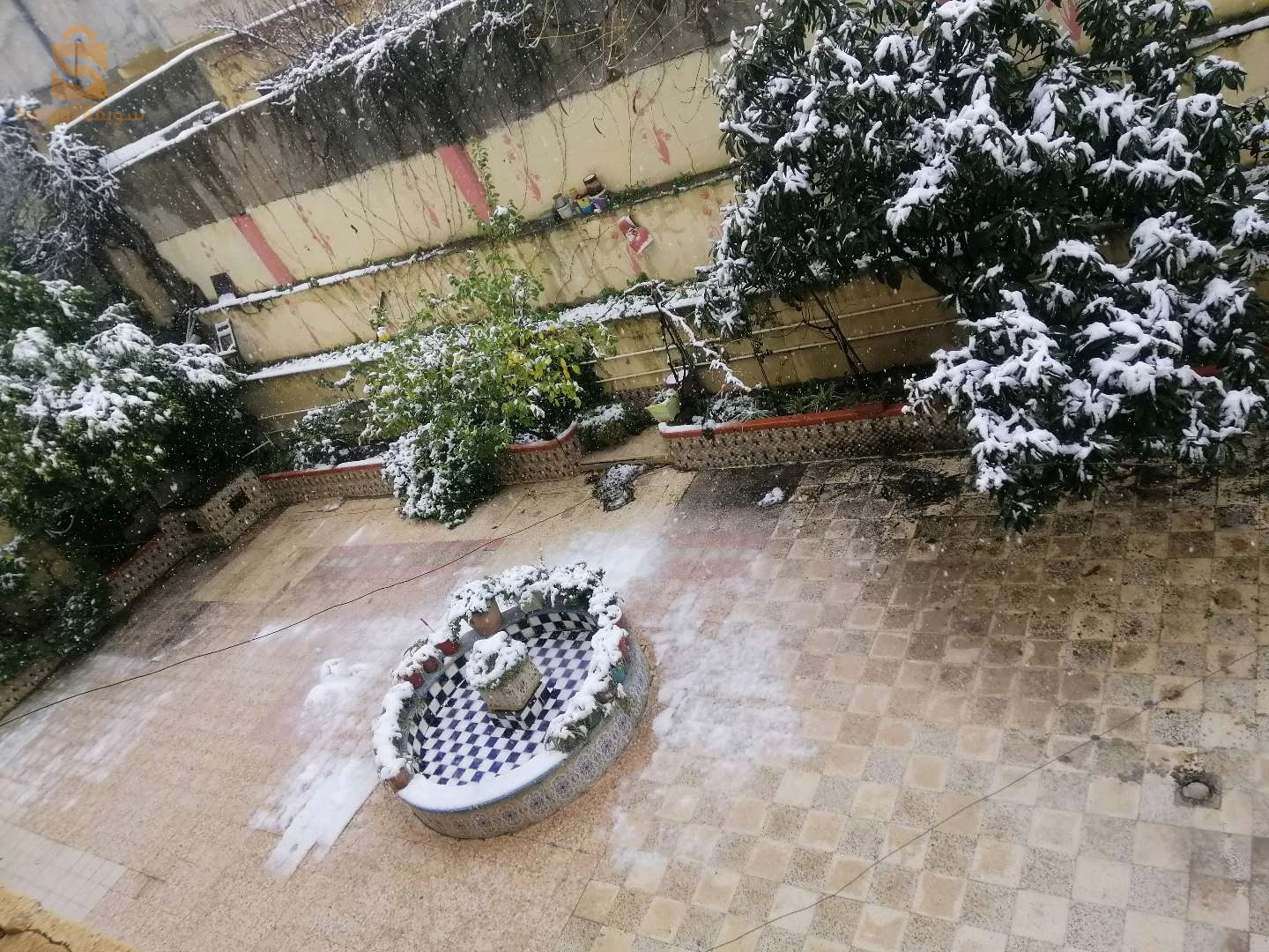 منير