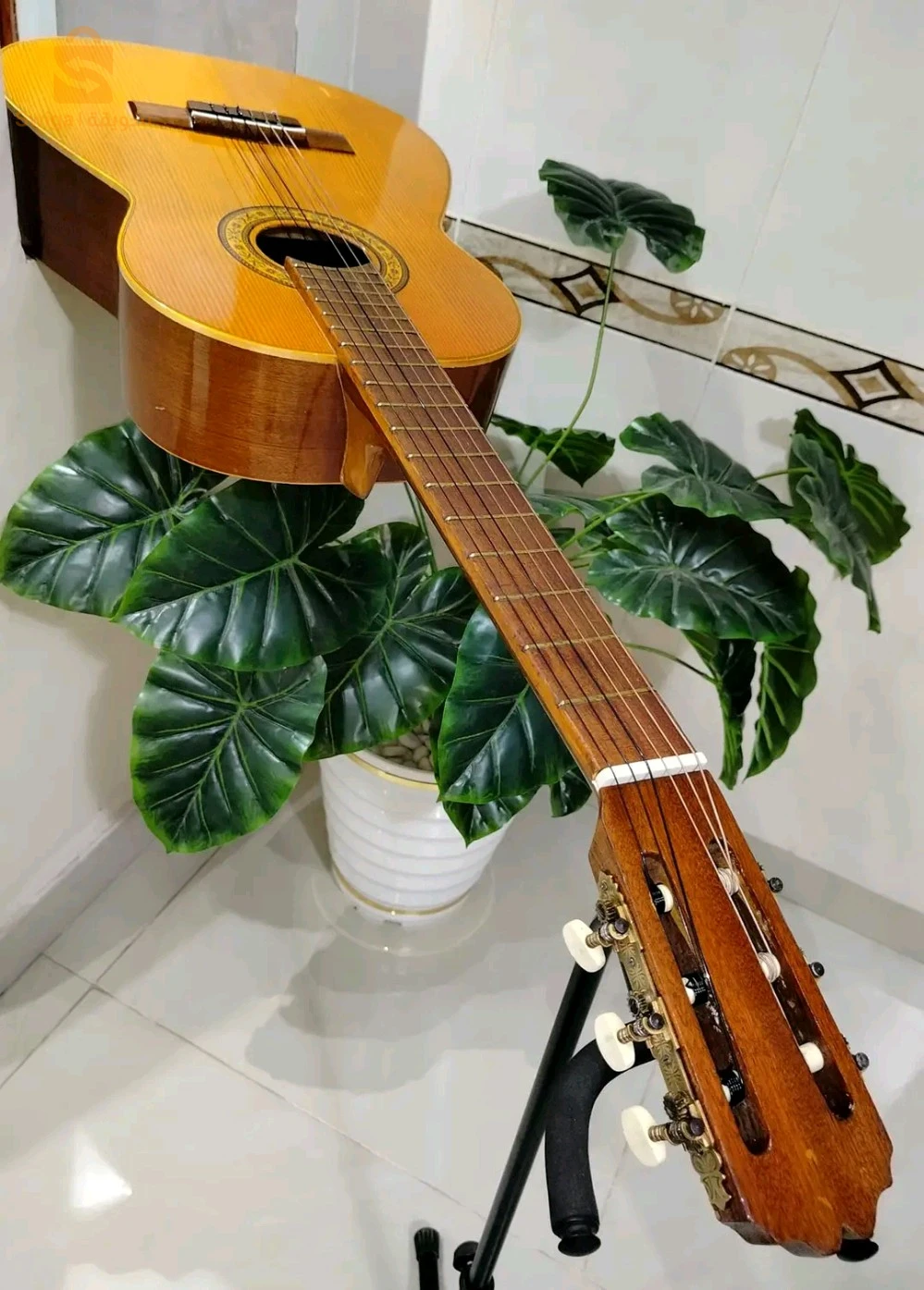 guitar