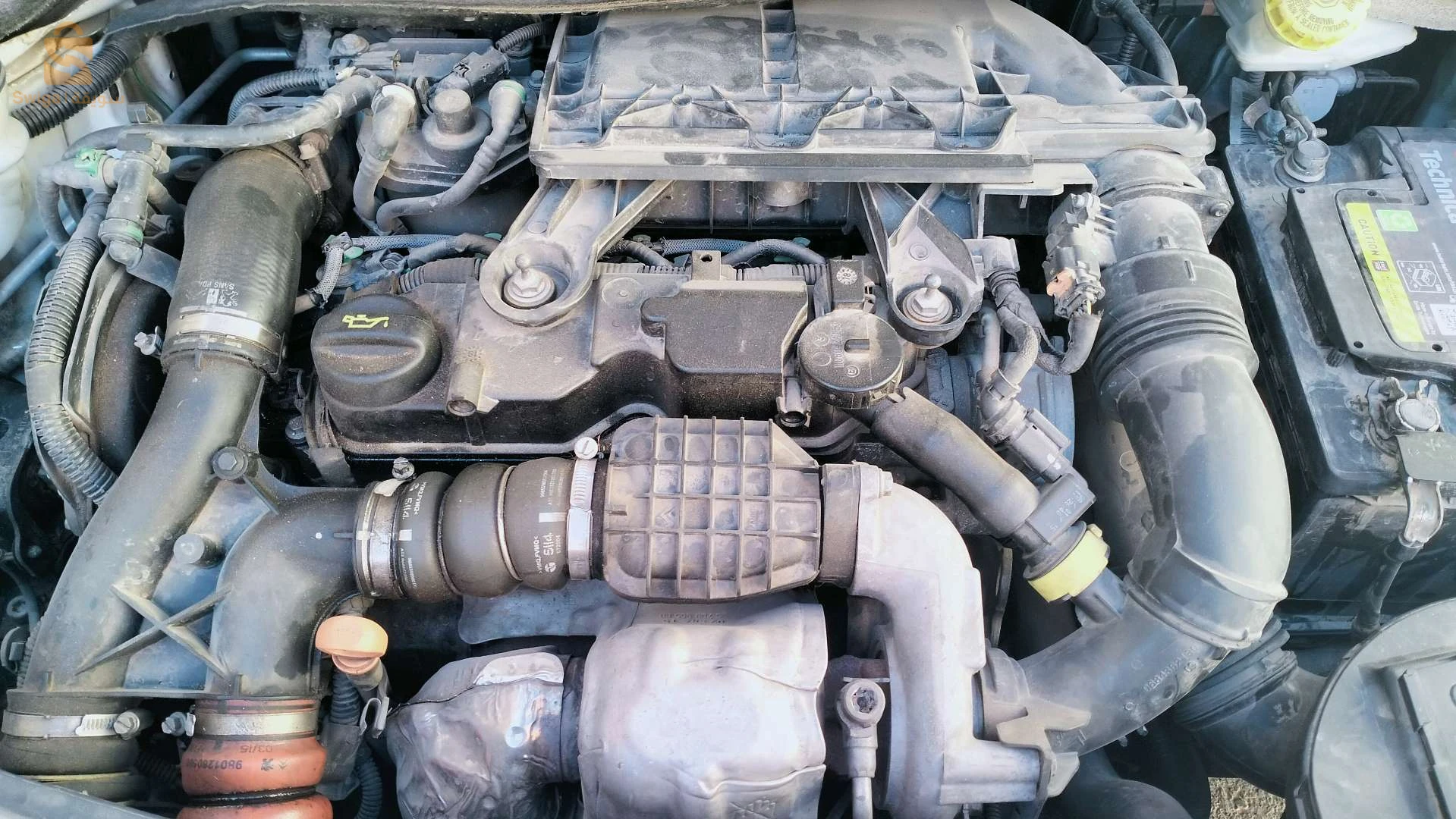 ستروين C4 2012 31 وهران