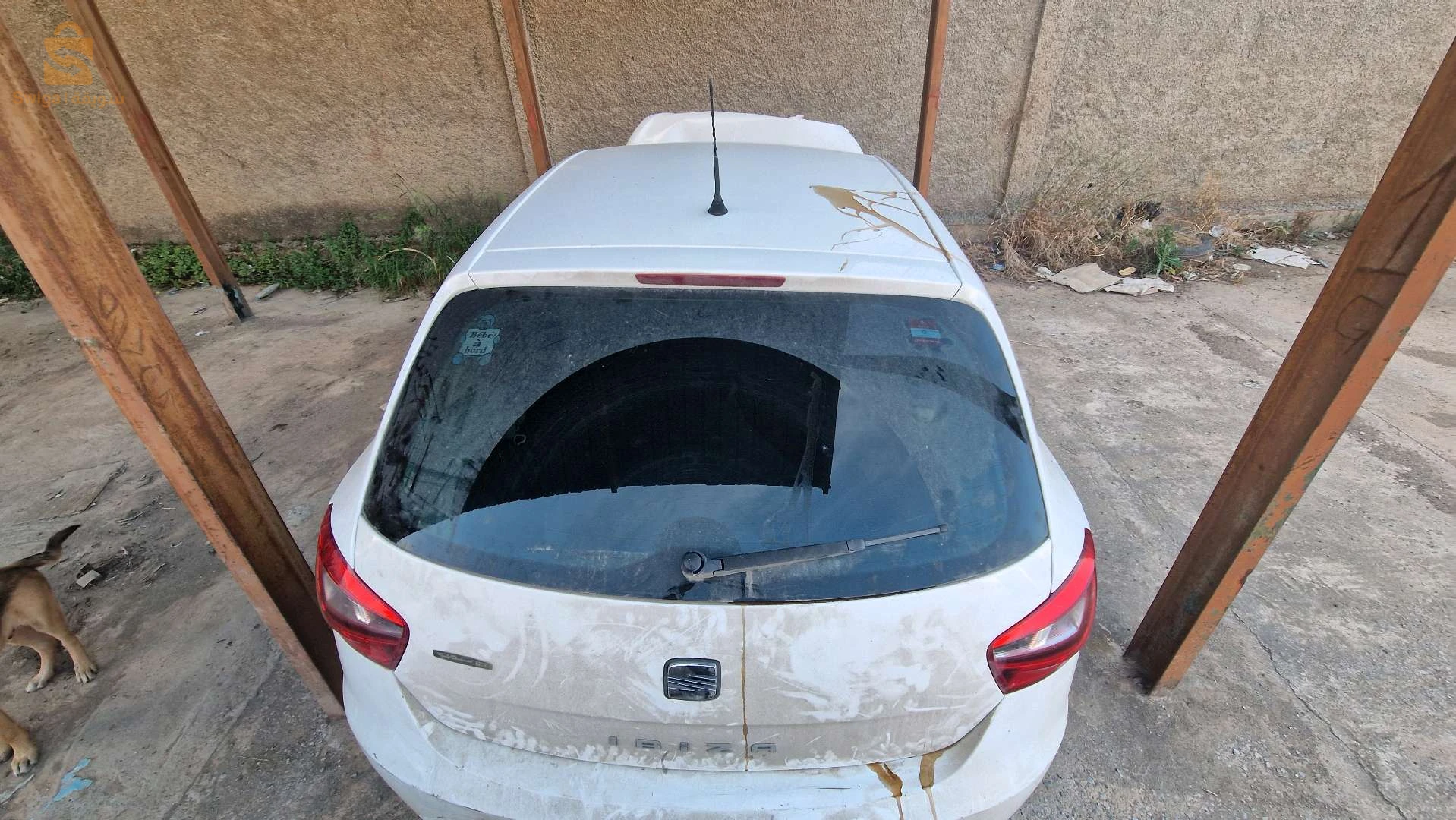 سيات Ibiza 2014 16 الجزائر