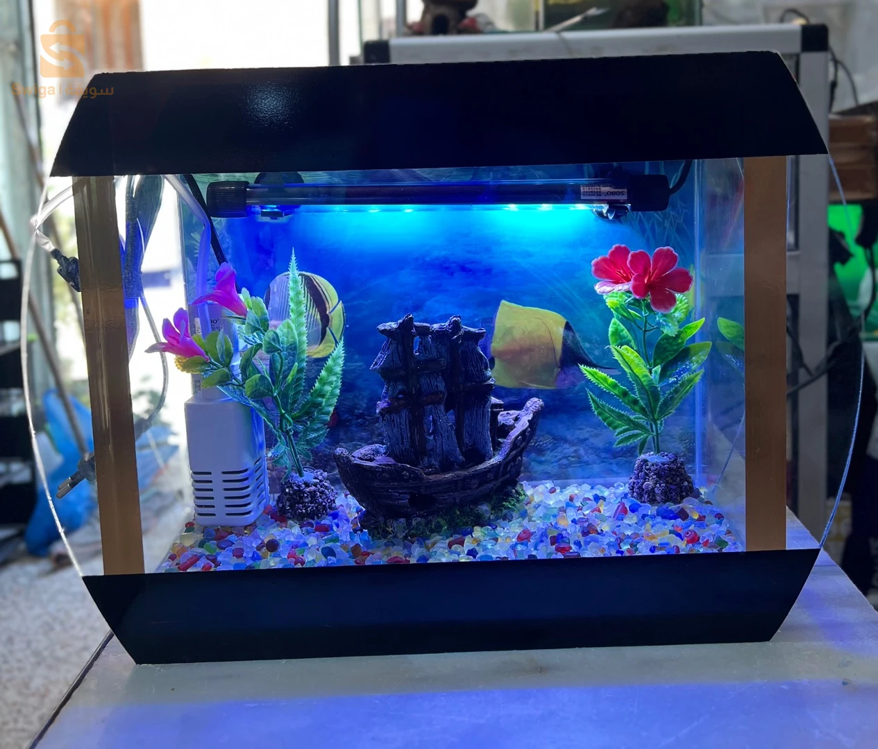 aquarium
