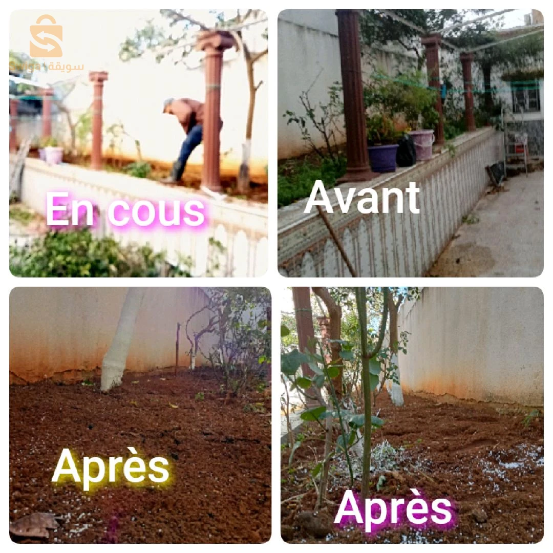 خدمات فلاحية