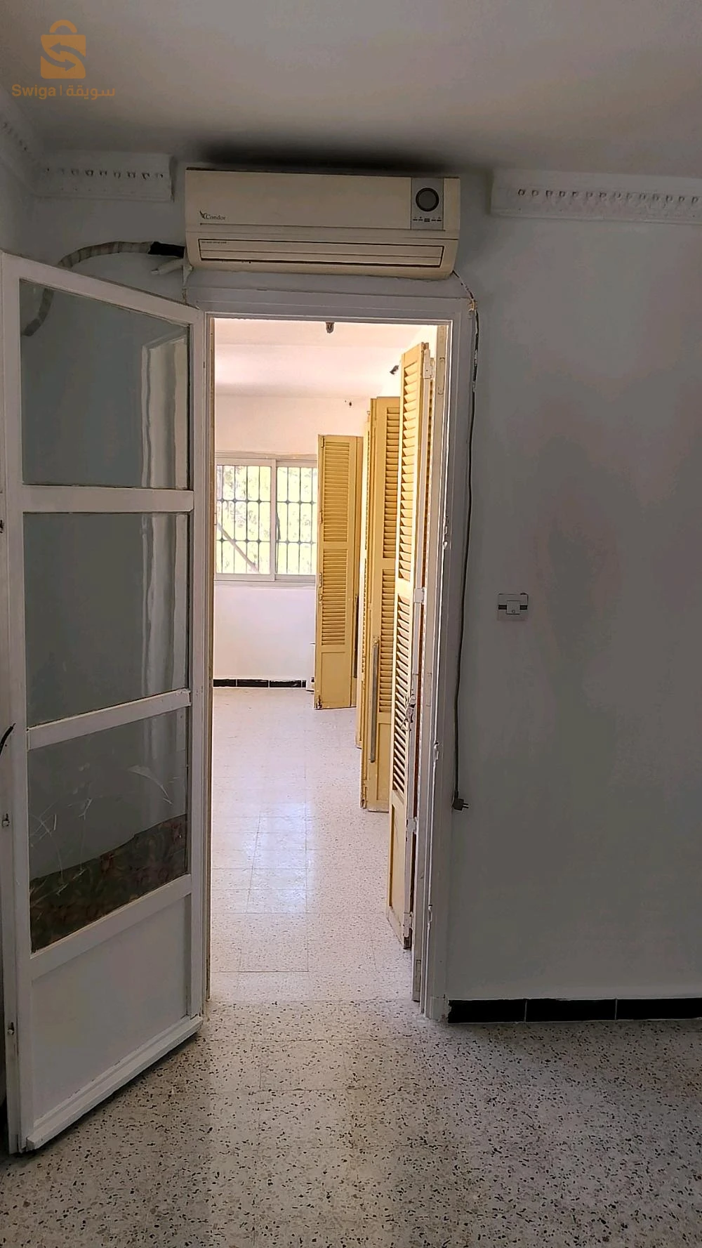 ALGER REGHAIA DNC
