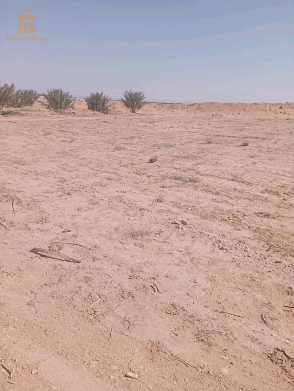 بلدية ليوة  منطقة لقميق