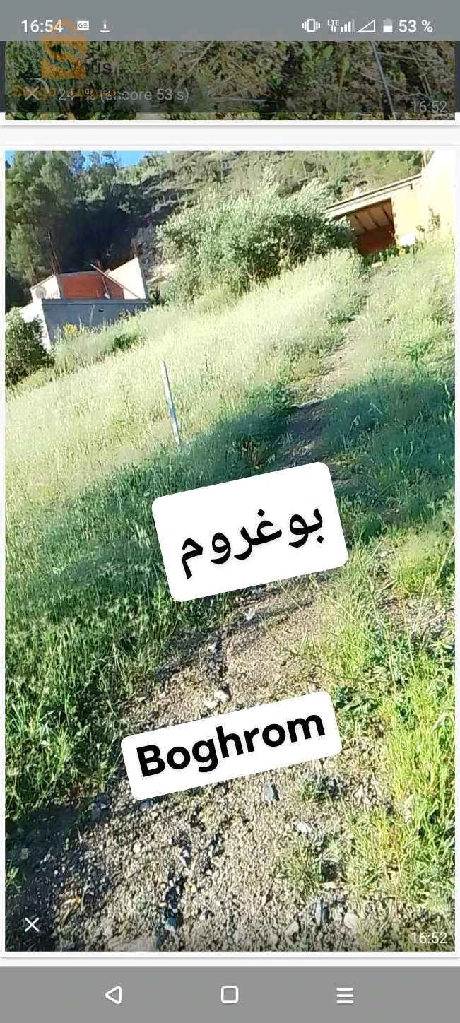 a vendre terrain 40 x 32 mètre (1200 M2 ) située a Boughrom béni ouerthilen.. terrain de construction ou agricole.. électricité gaz..0552528436