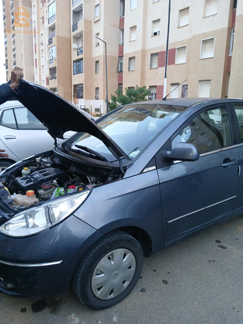 تاتا 2015 16 الجزائر