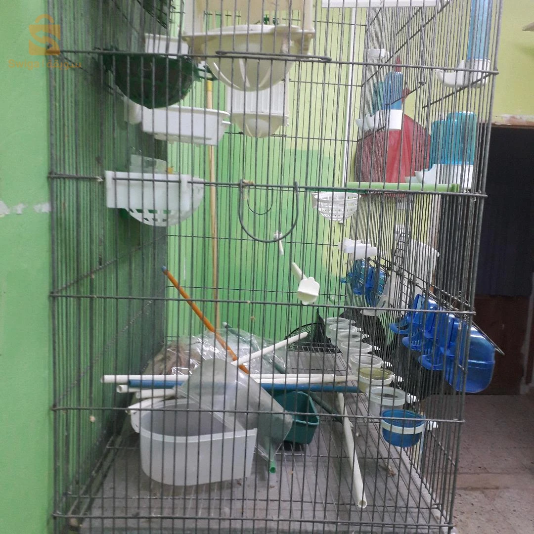 cage volliere