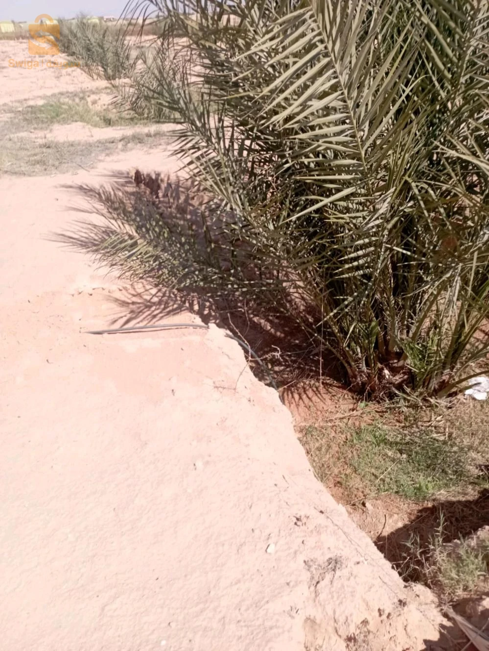 بلدية ليوة  منطقة لقميق