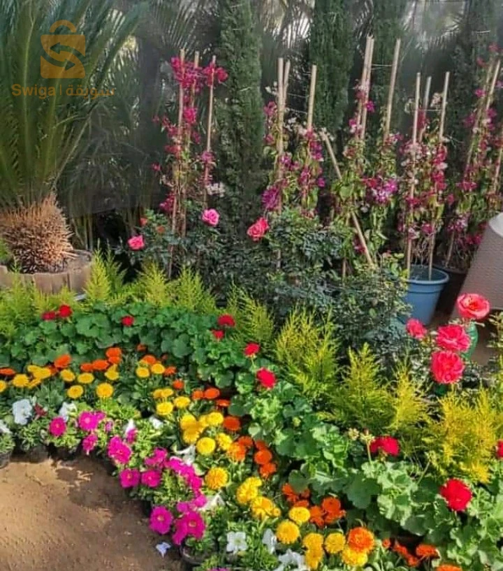 خدمات فلاحية