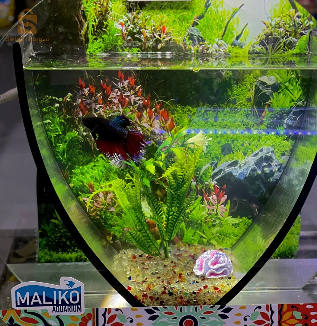 aquarium