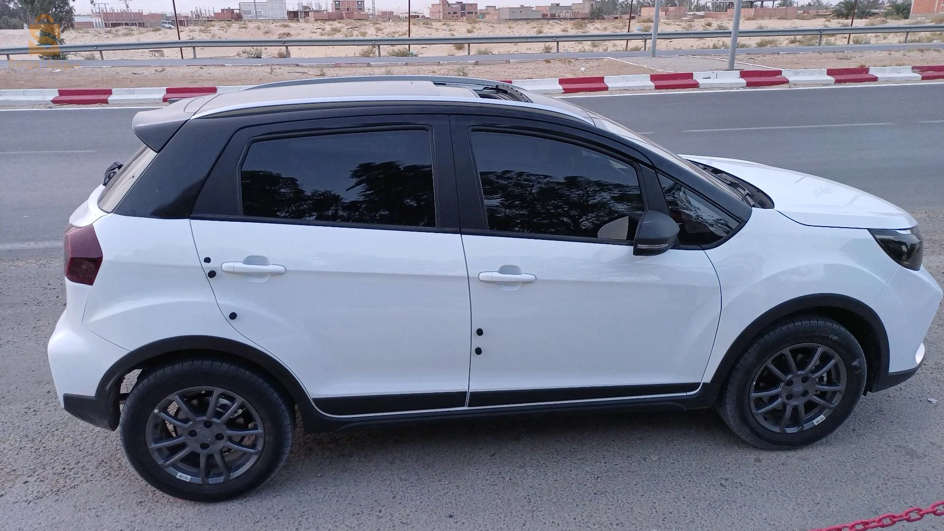 جيلى 2024 39 الوادي