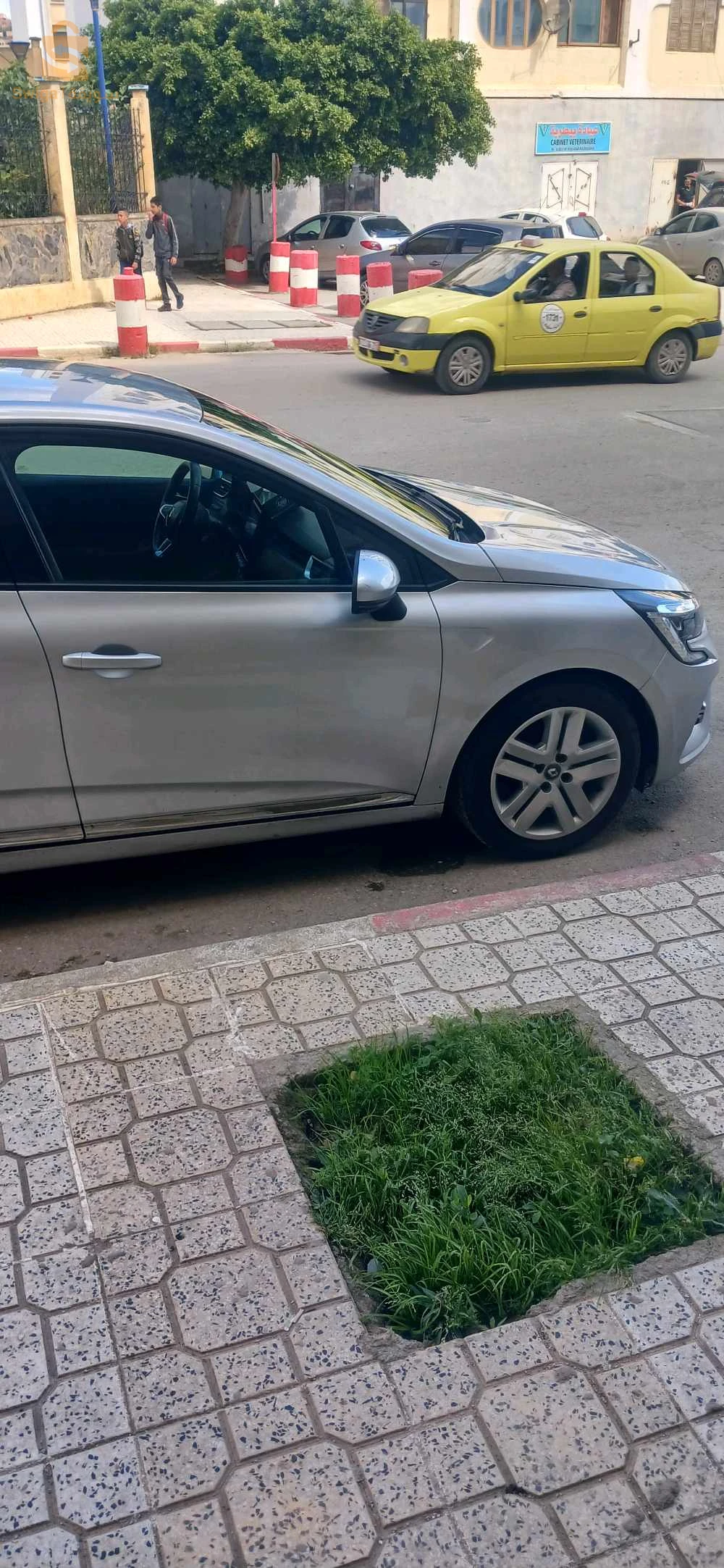 رينو Clio 5 2022 21 سكيكدة