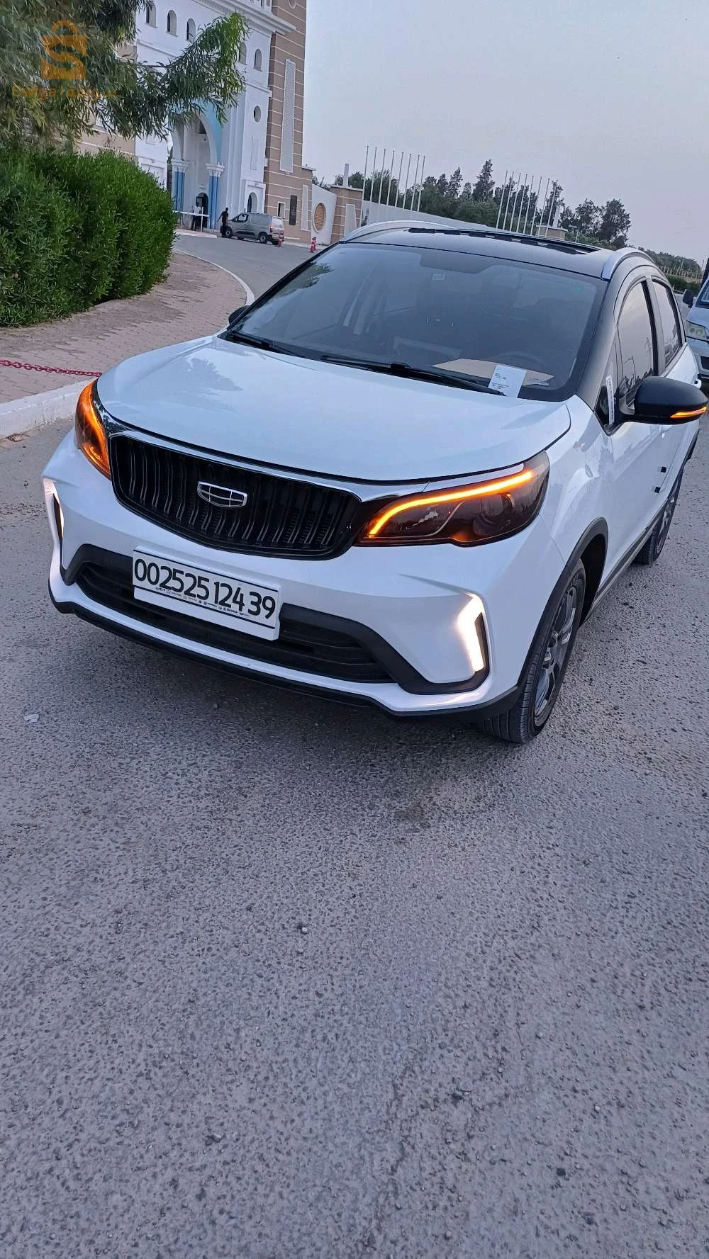 gelée 2024 39 EL OUED