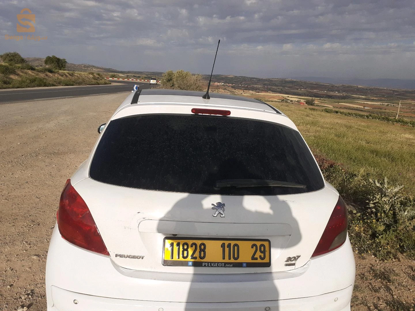 Peugeot 207 2010 29 MASCARA