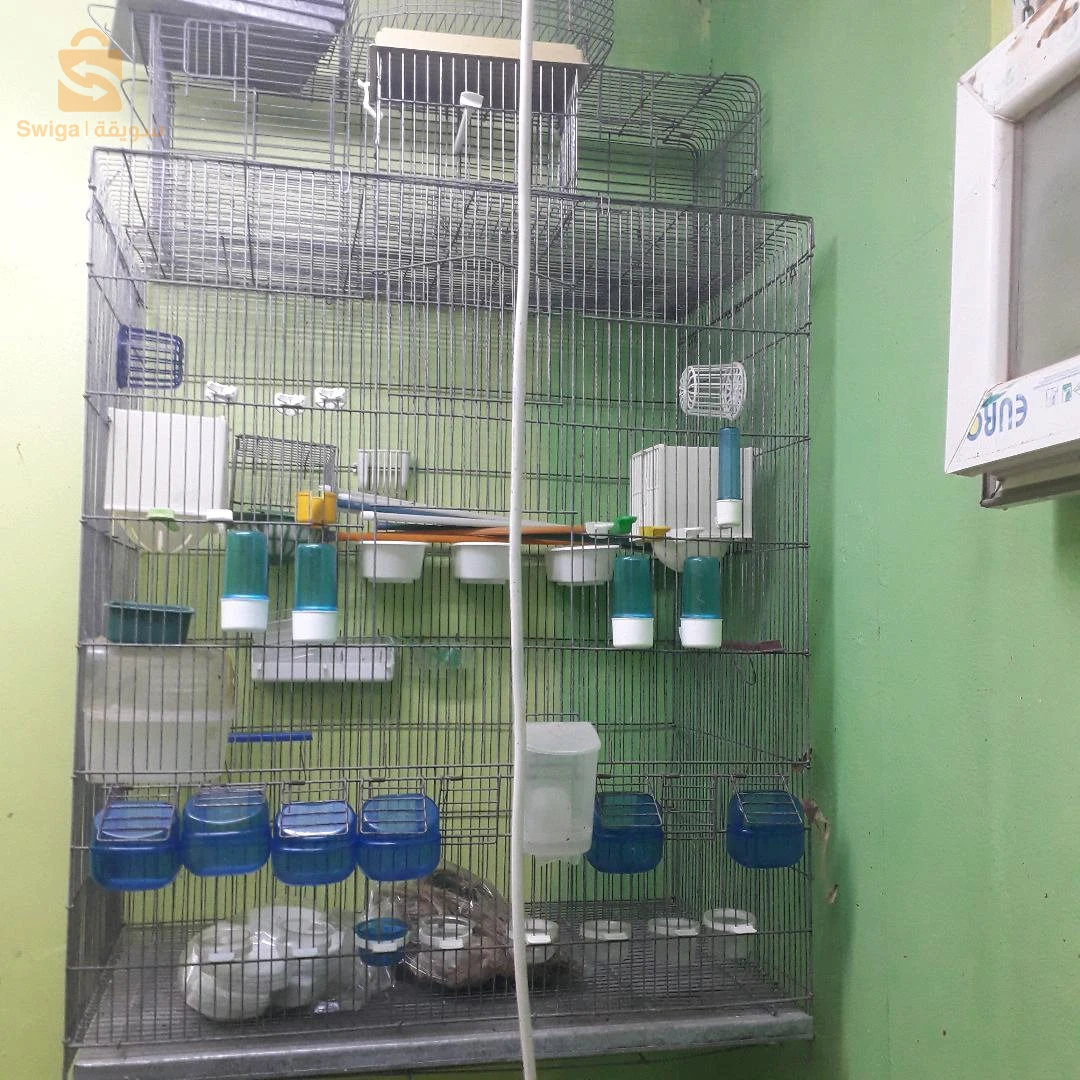 cage volliere