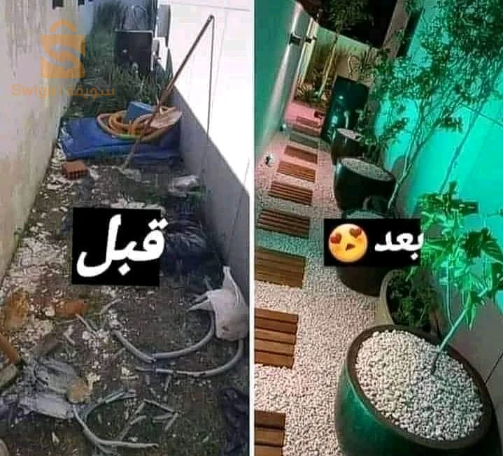 خدمات فلاحية