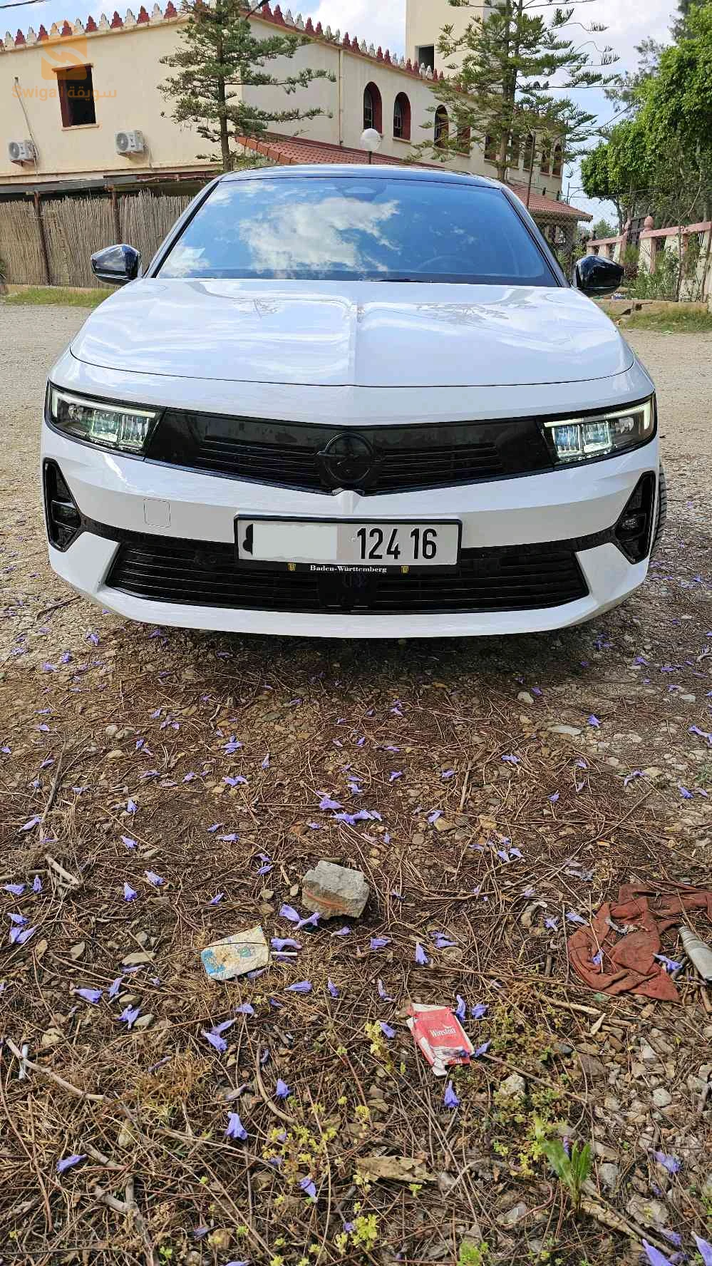 اوبل 2024 9 البليدة