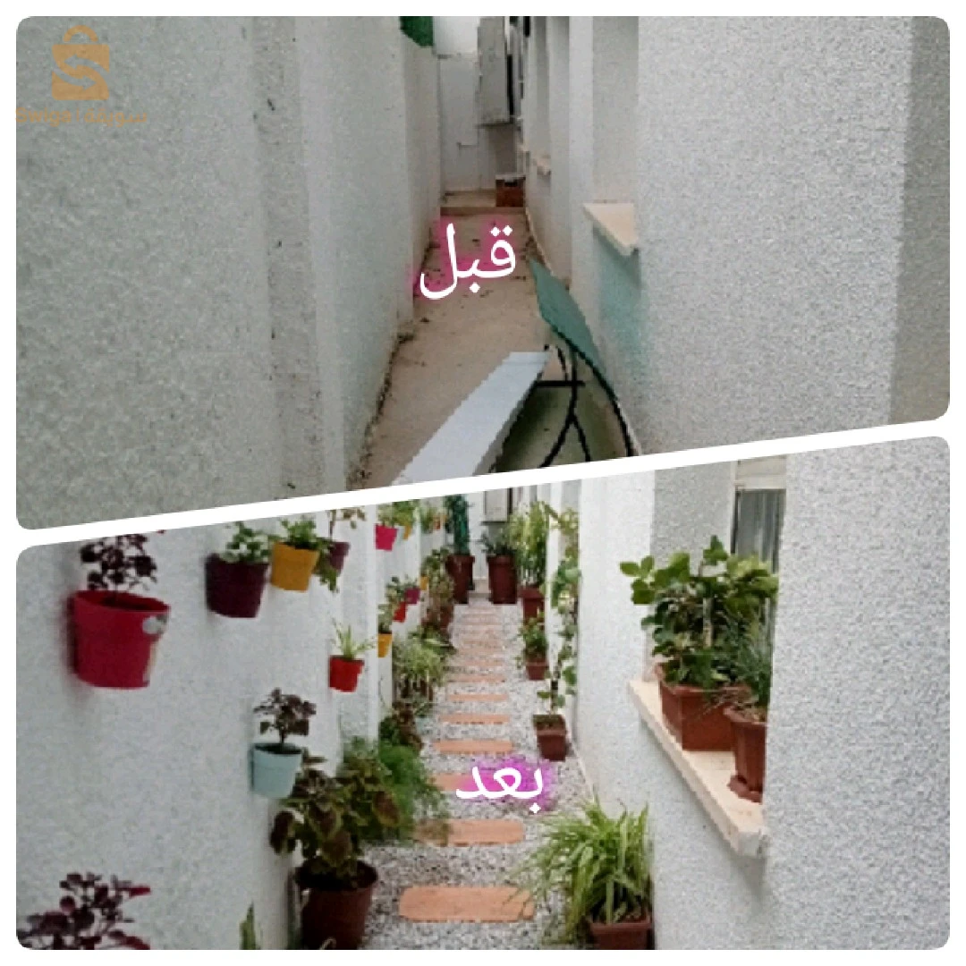 خدمات فلاحية