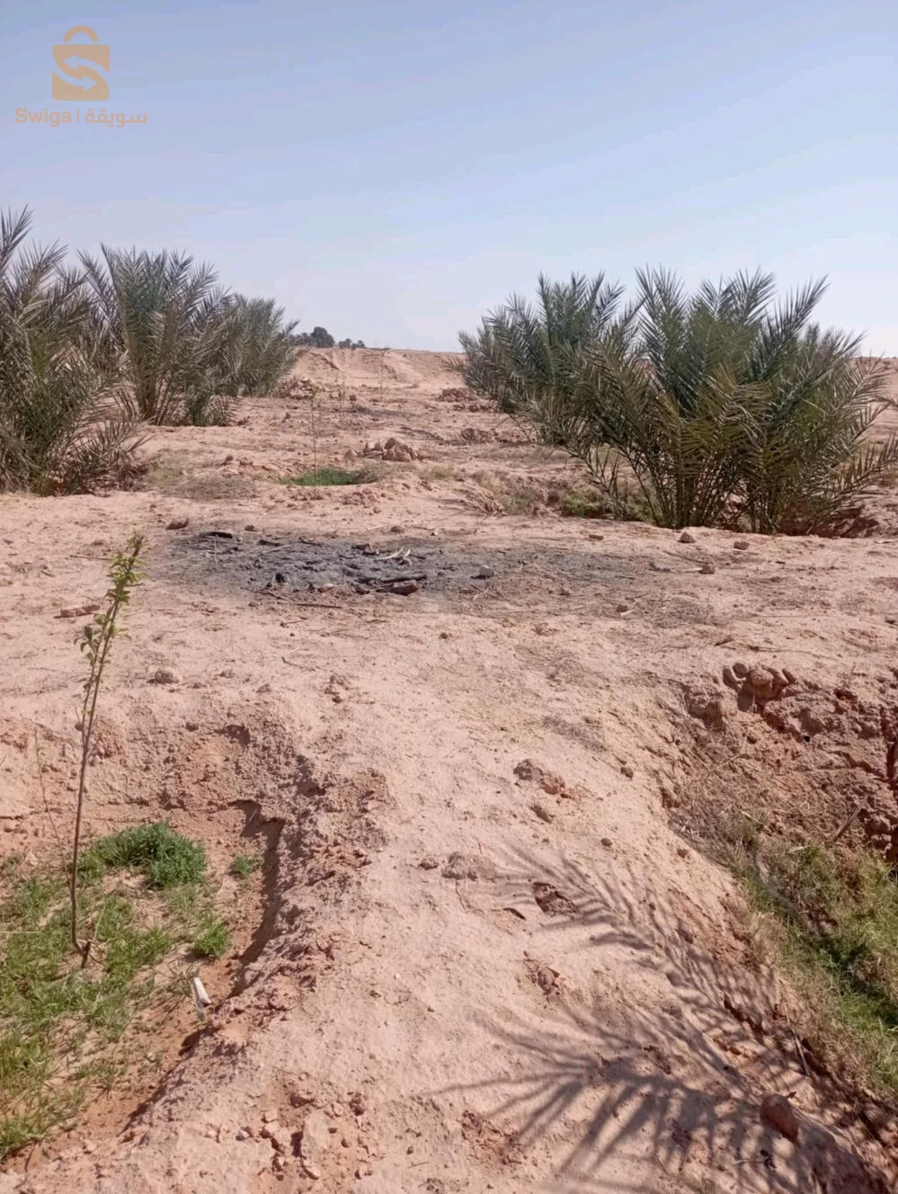 بلدية ليوة  منطقة لقميق