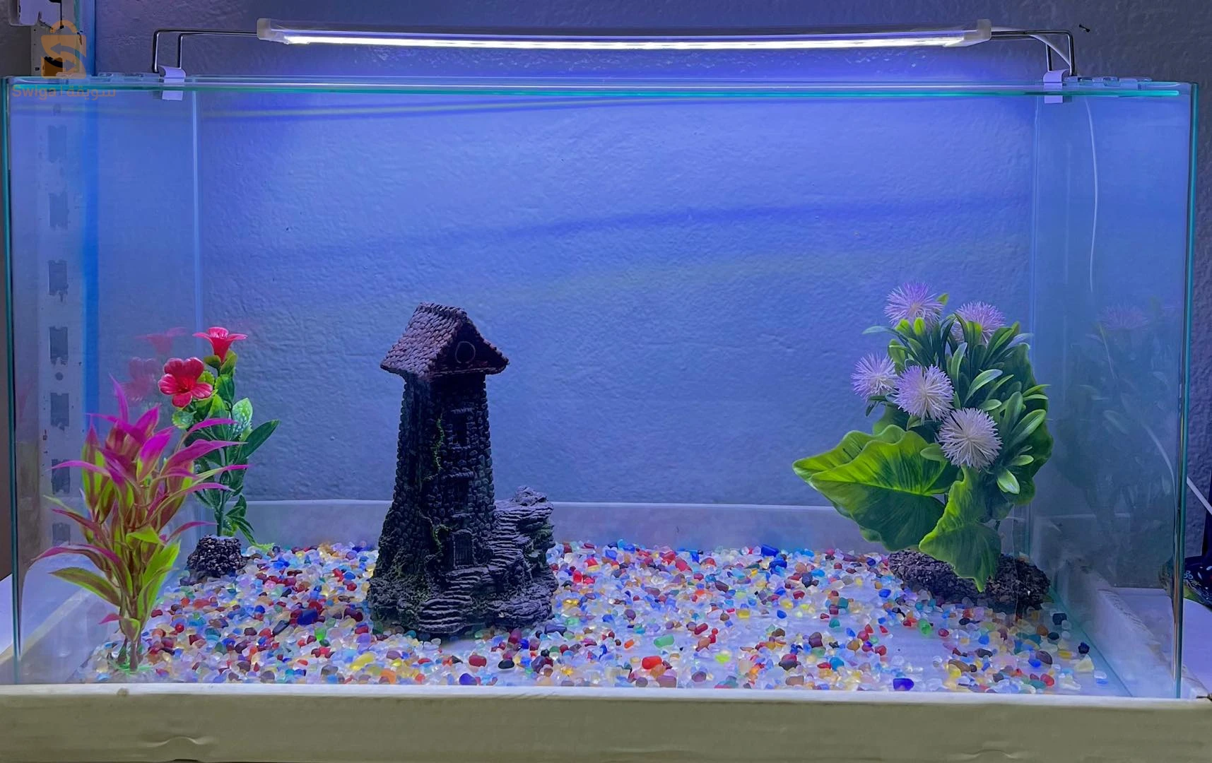aquarium