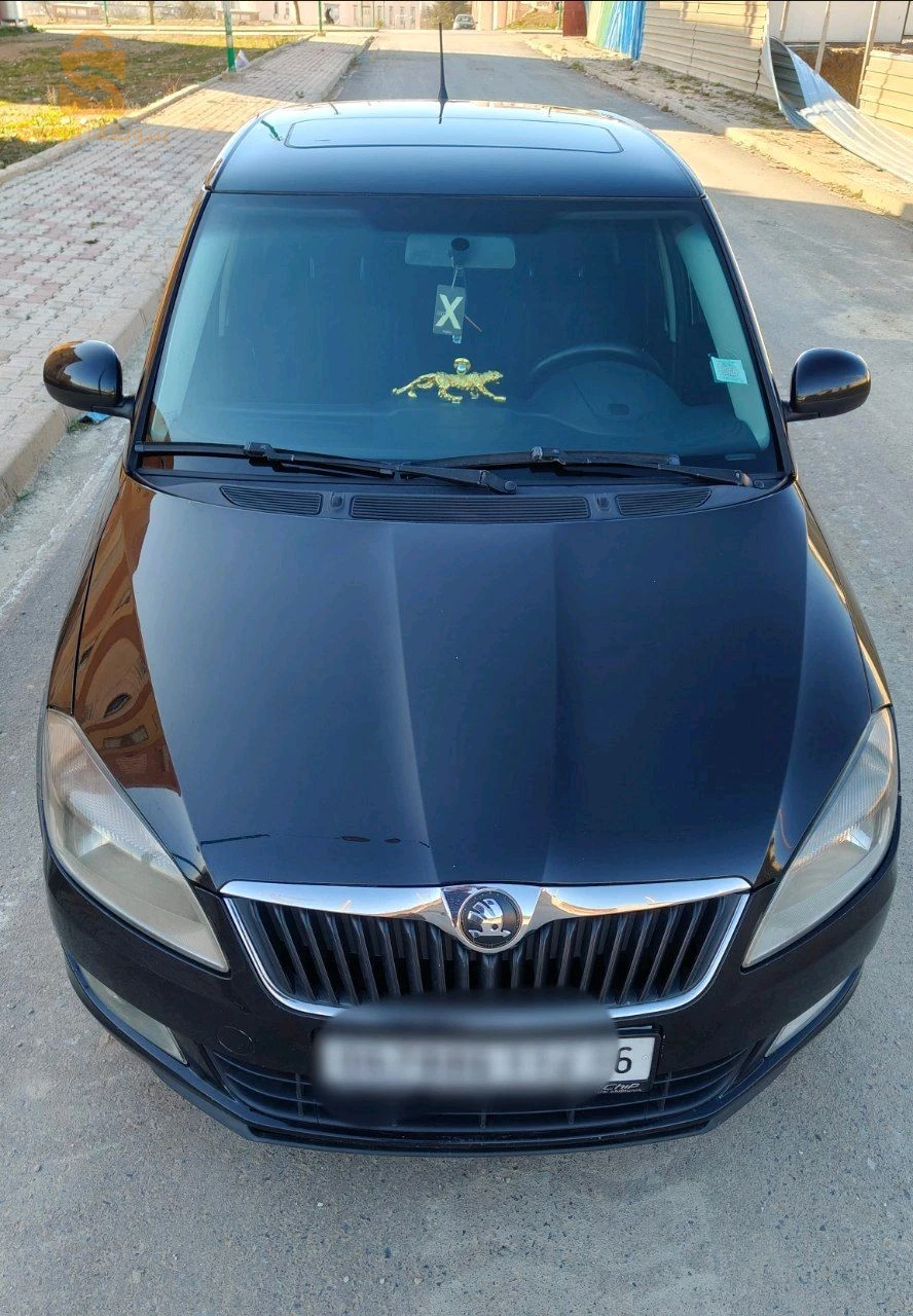 سكودا Fabia 2014 26 المدية