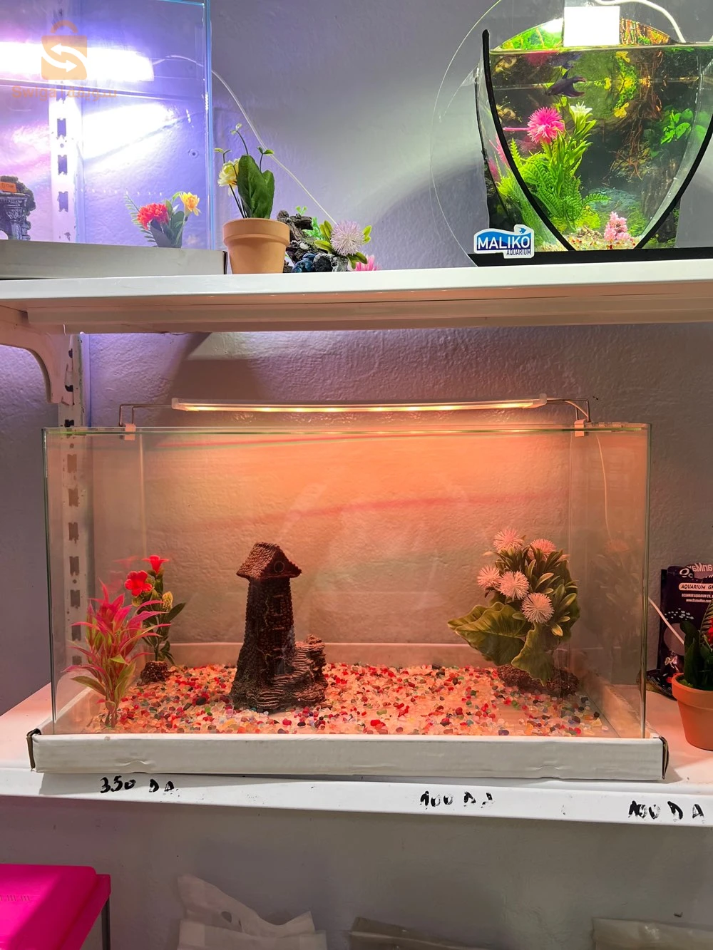 aquarium