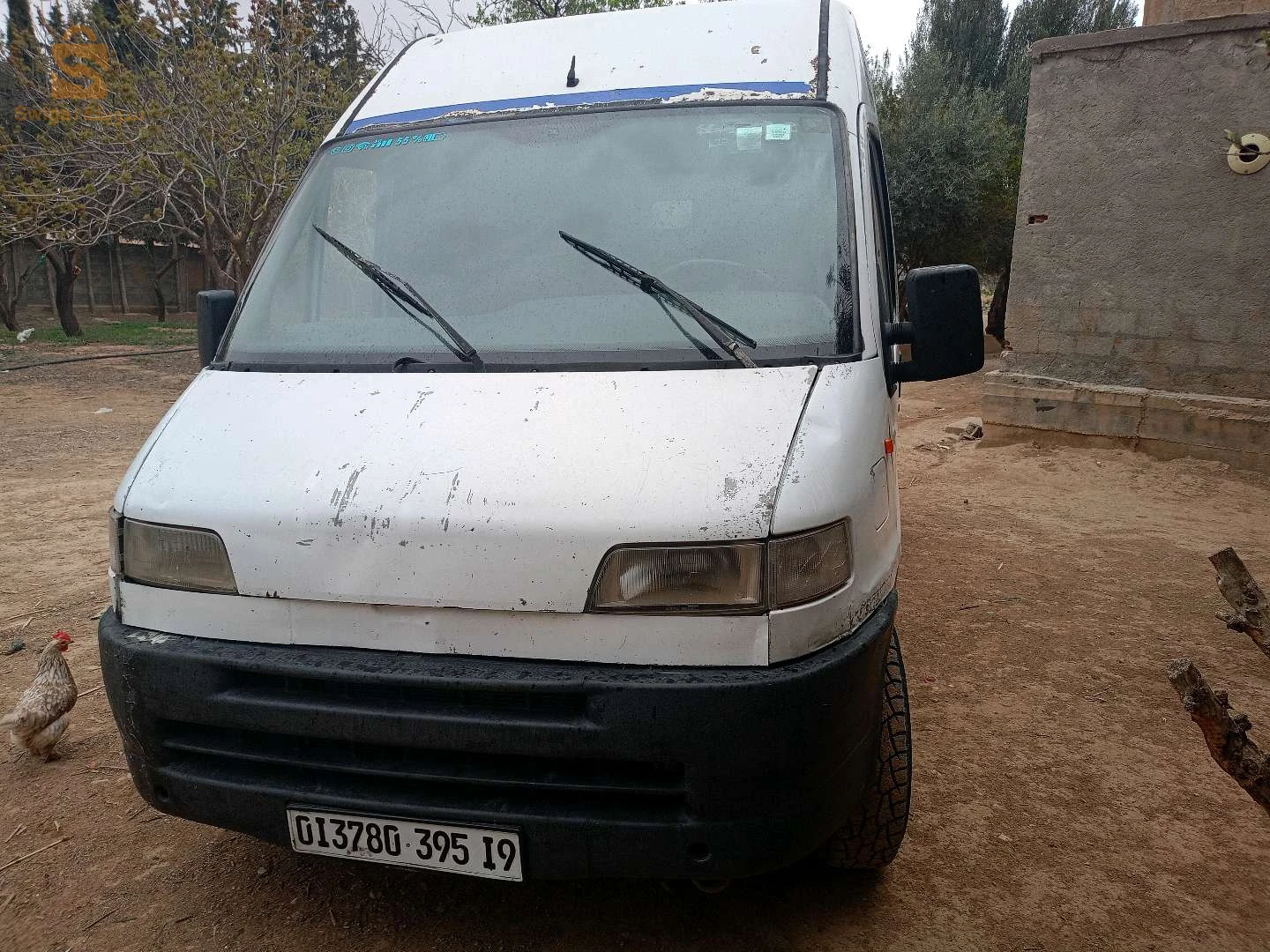بيجو Boxer 1995 19 سطيف