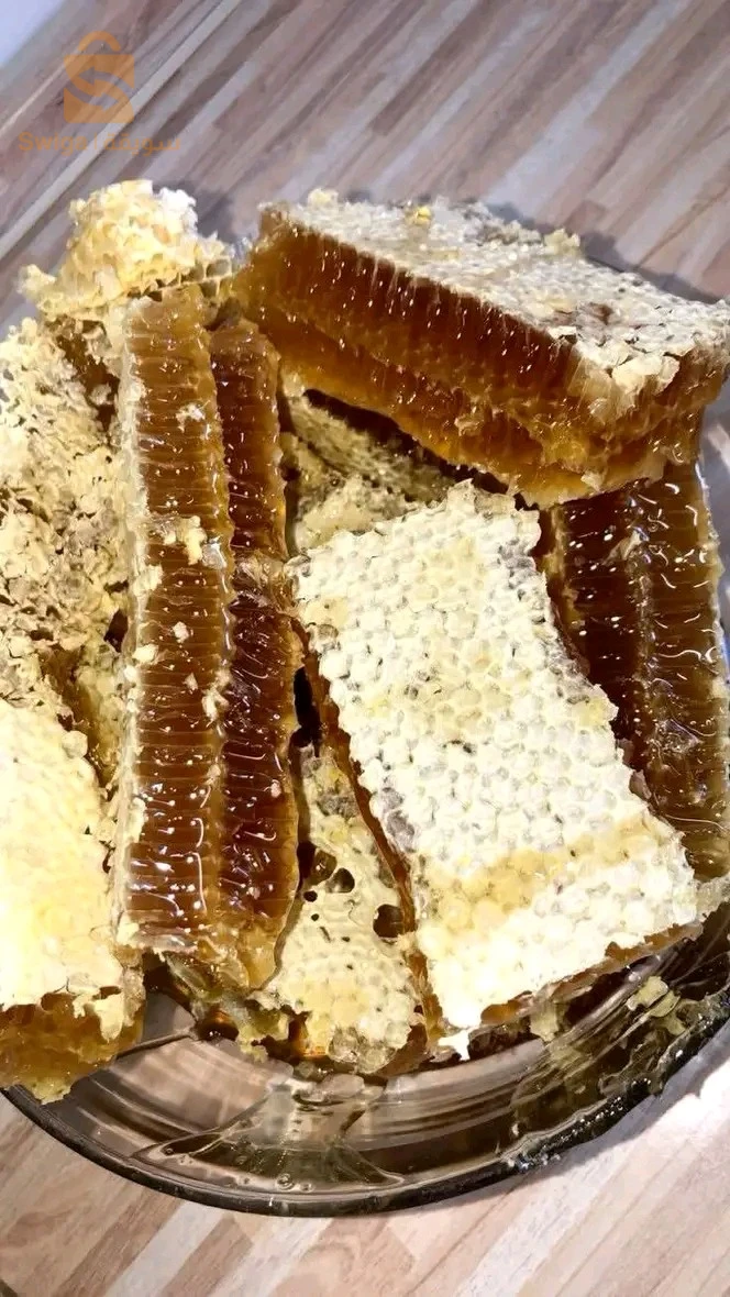 الصحة الغذائية 