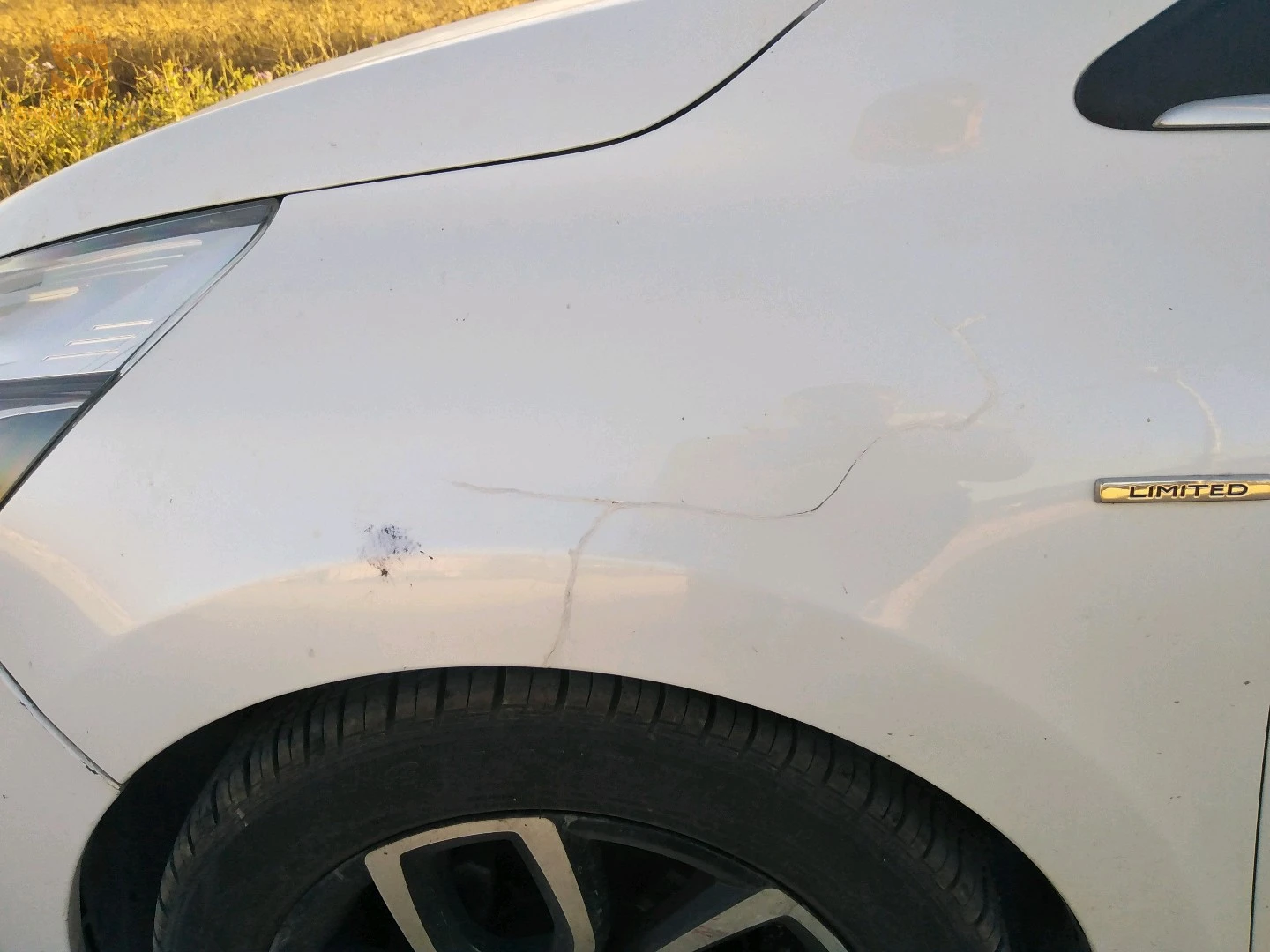 رينو Clio 4 2019 10 البويرة