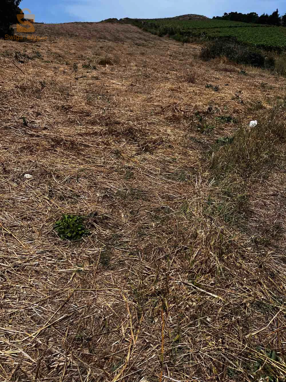 للبيع اراضي زراعية عدد الغرف 35 بومرداس