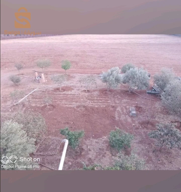 للبيع اراضي اخرى عدد الغرف 44 عين الدفلى