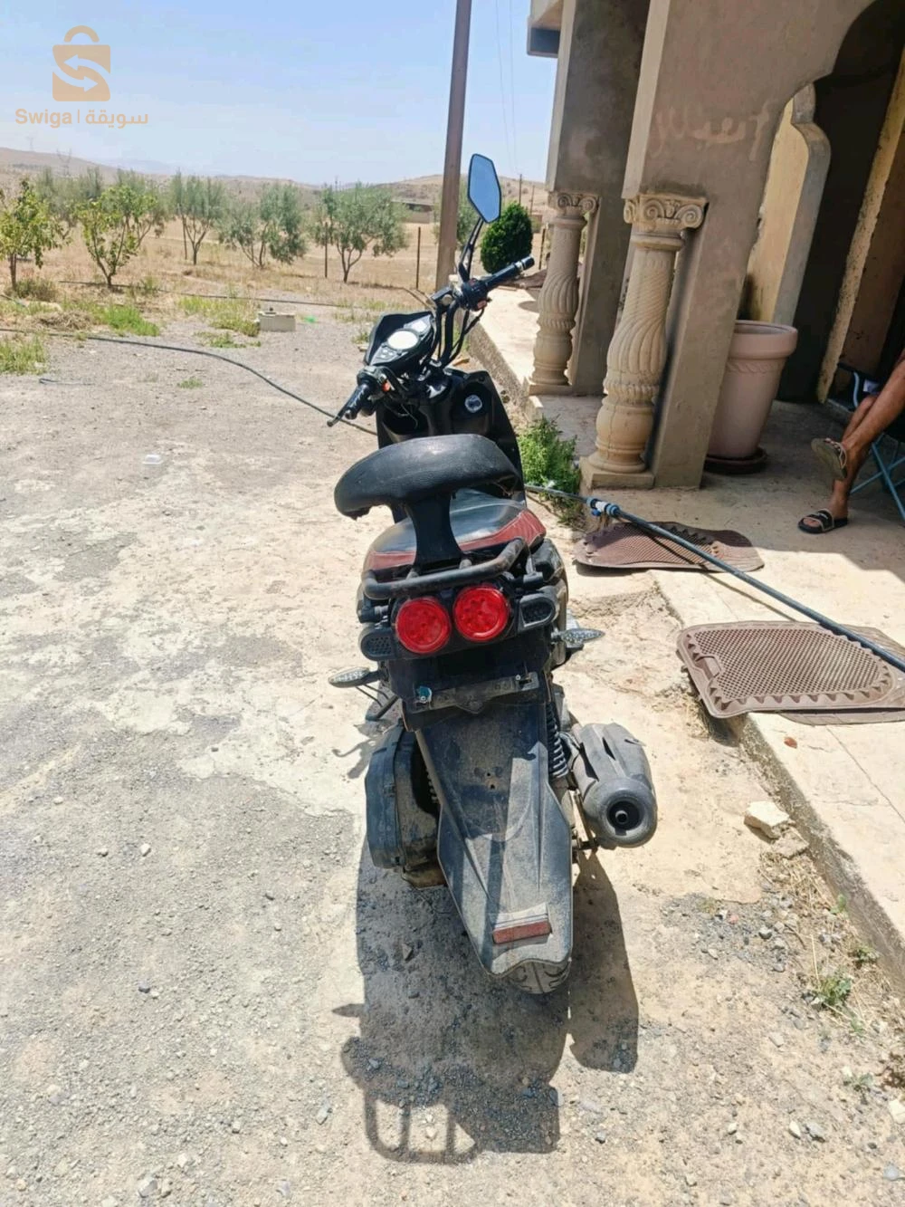 فيسبا 