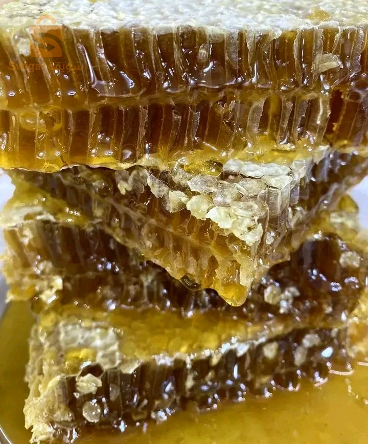 الصحة الغذائية 