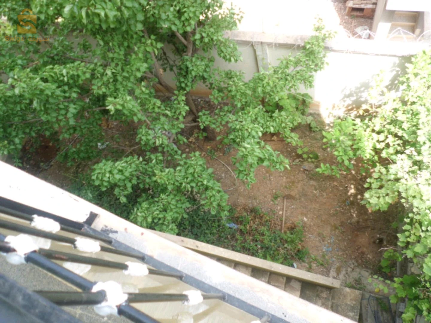 للبيع فلل سكنية عدد الغرف 18 جيجل