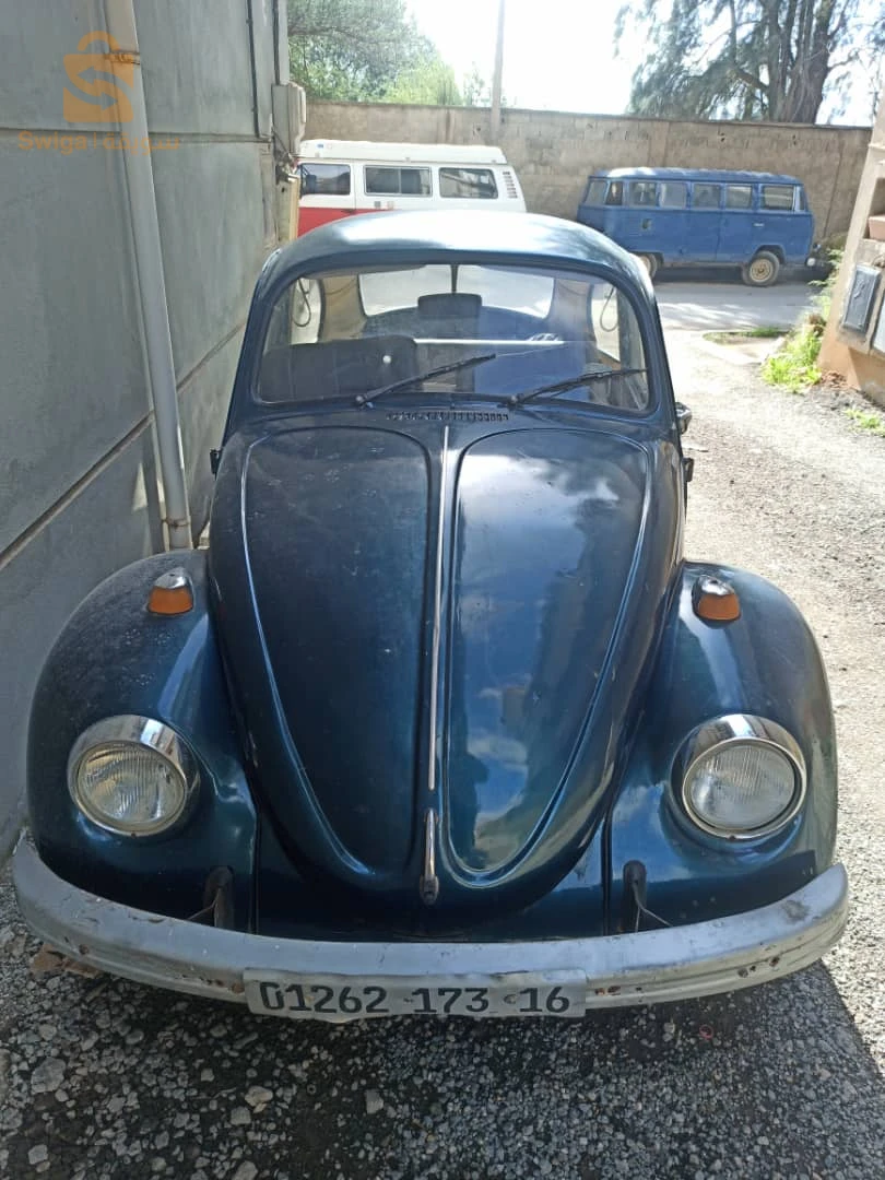 فولكس واجن Beetle 1972 16 الجزائر