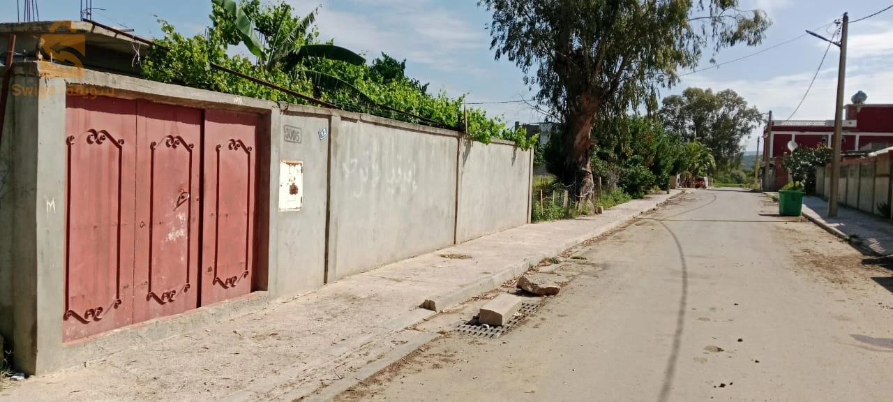 للبيع شقق سكنية عدد الغرف4 24 قالمة