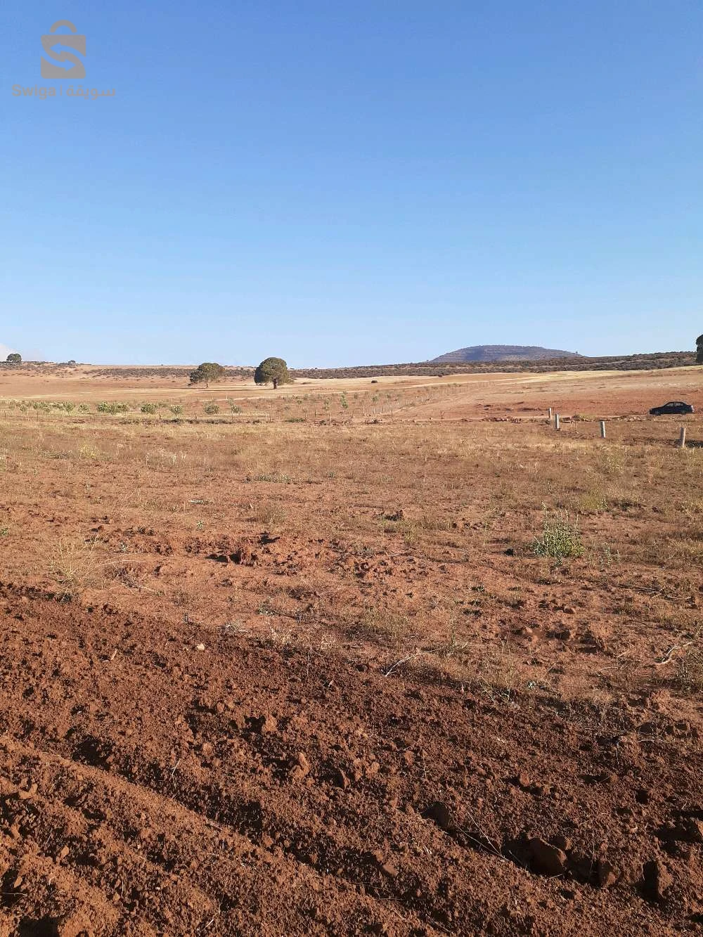 للبيع اراضي زراعية عدد الغرف 22 سيدي بلعباس