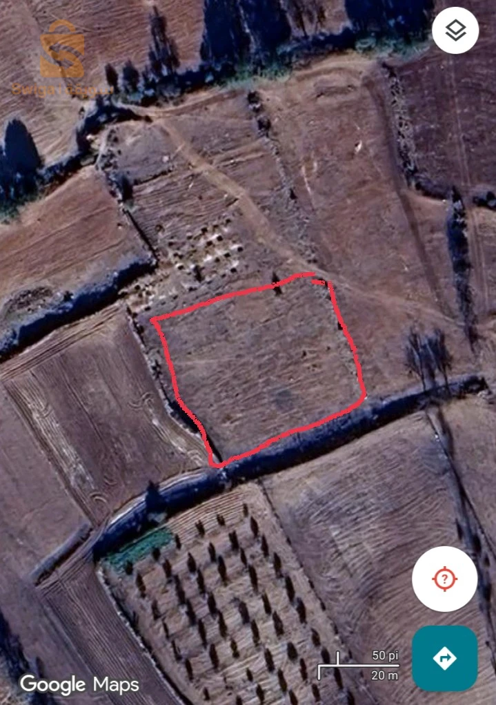 للبيع اراضي سكنية عدد الغرف 48 غليزان