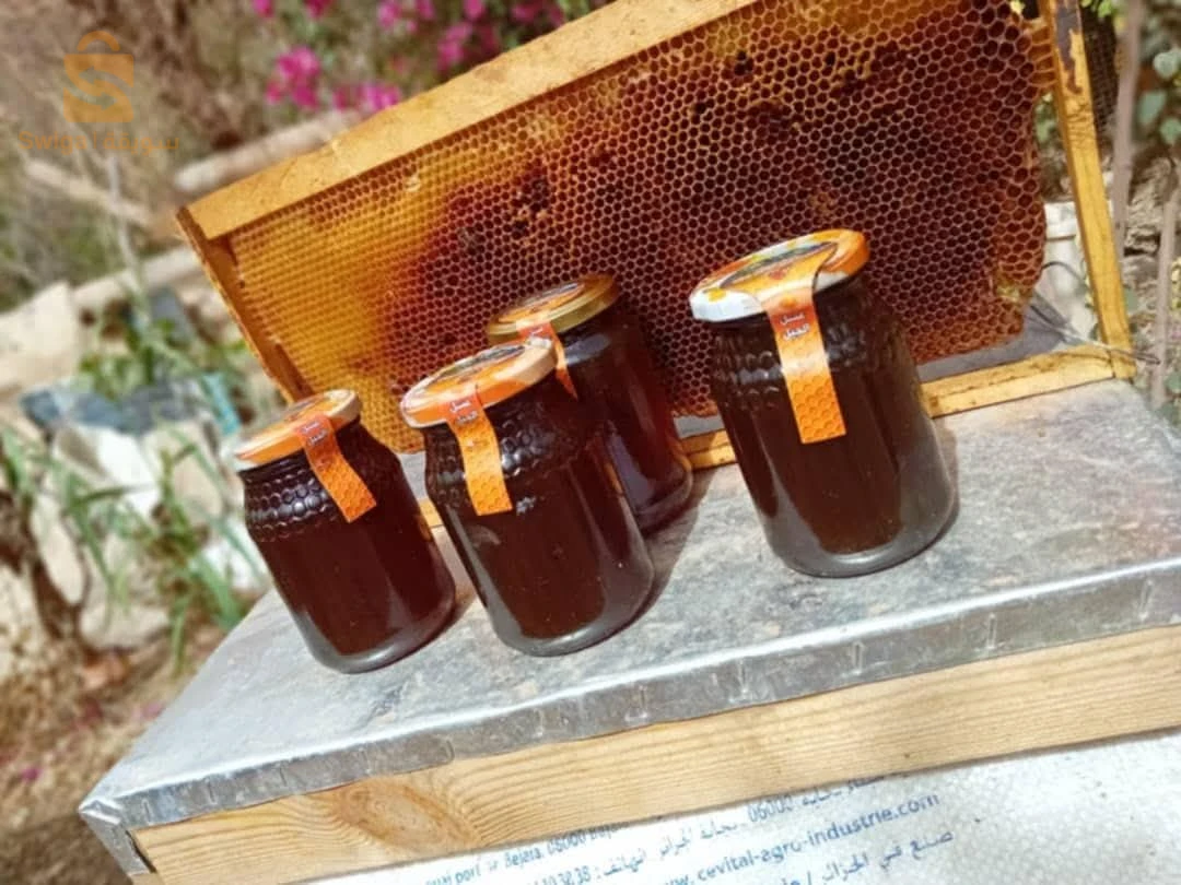 أخرى 