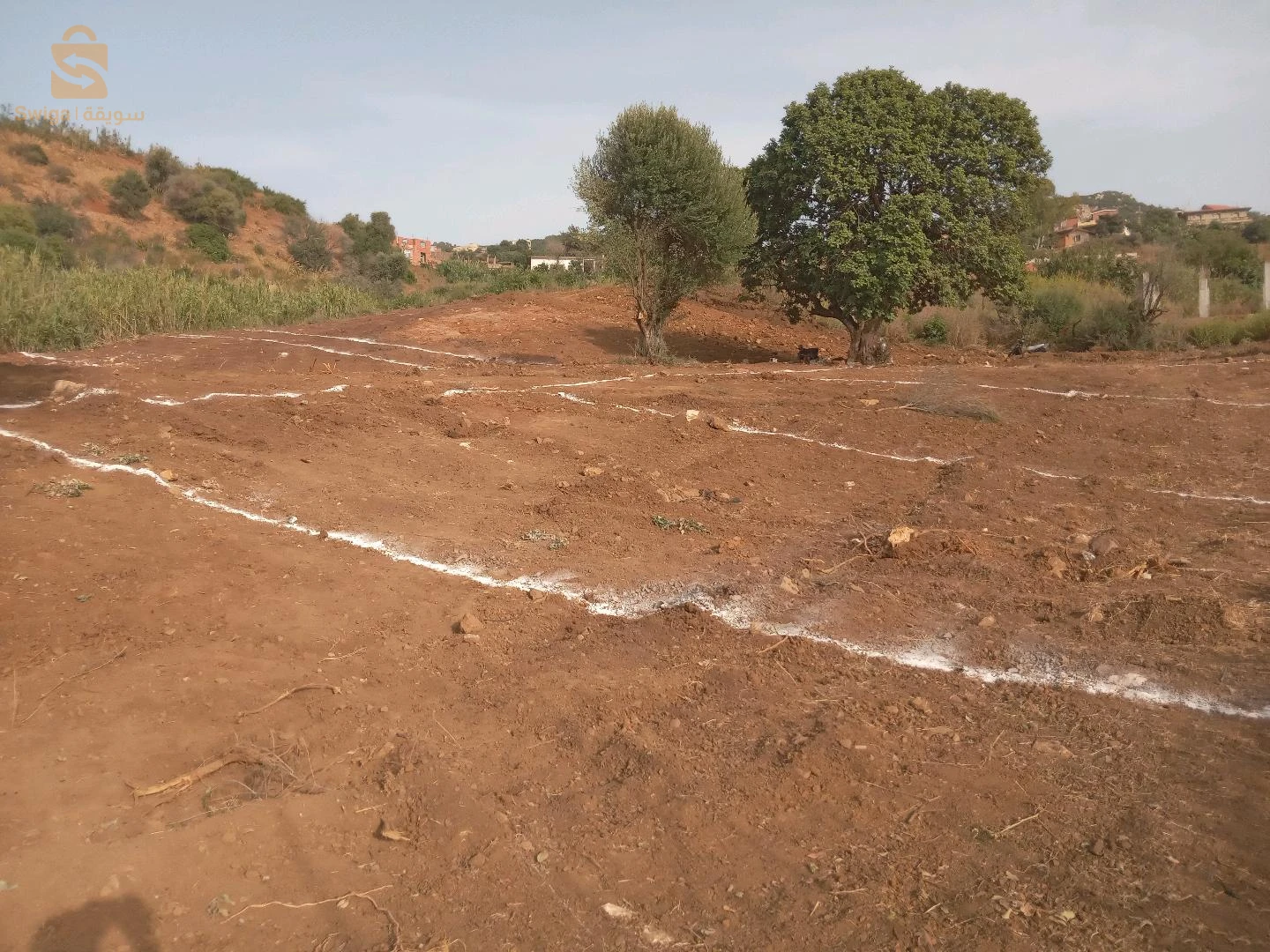 للبيع عقارات اخرى عدد الغرف 9 البليدة