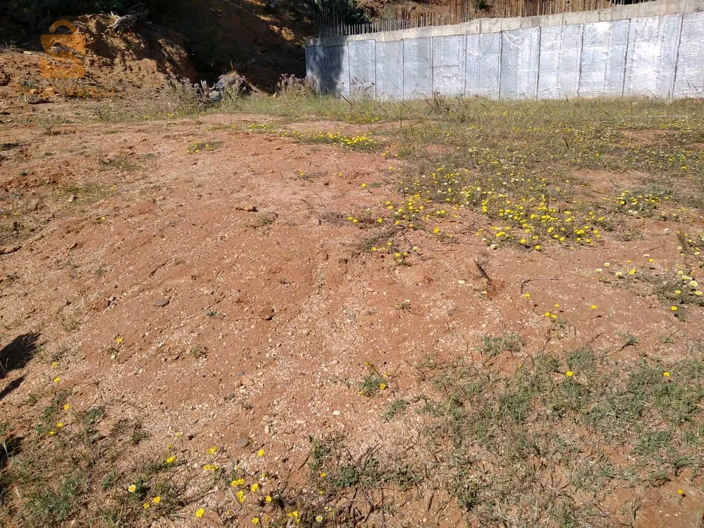 للبيع اراضي سكنية عدد الغرف 35 بومرداس