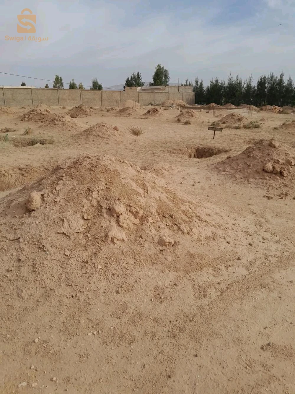 للبيع عقارات اخرى عدد الغرف 12 تبسة