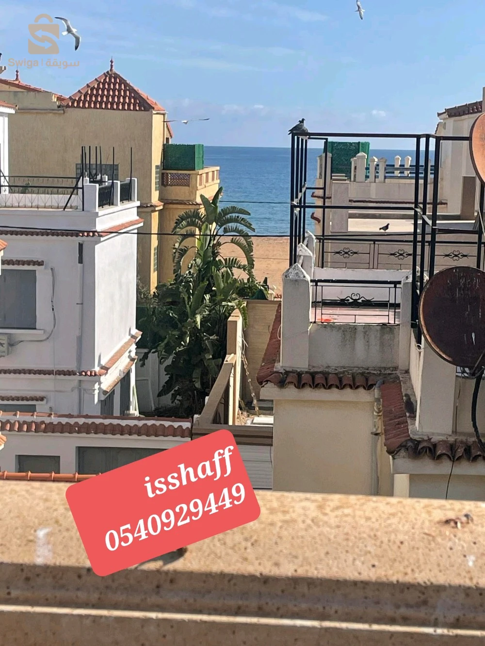 كراء طابق فيلا عدد الغرف3 42 تيبازة