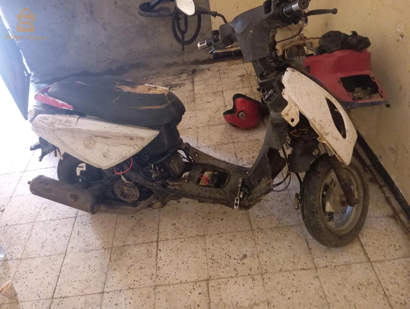 فيسبا 