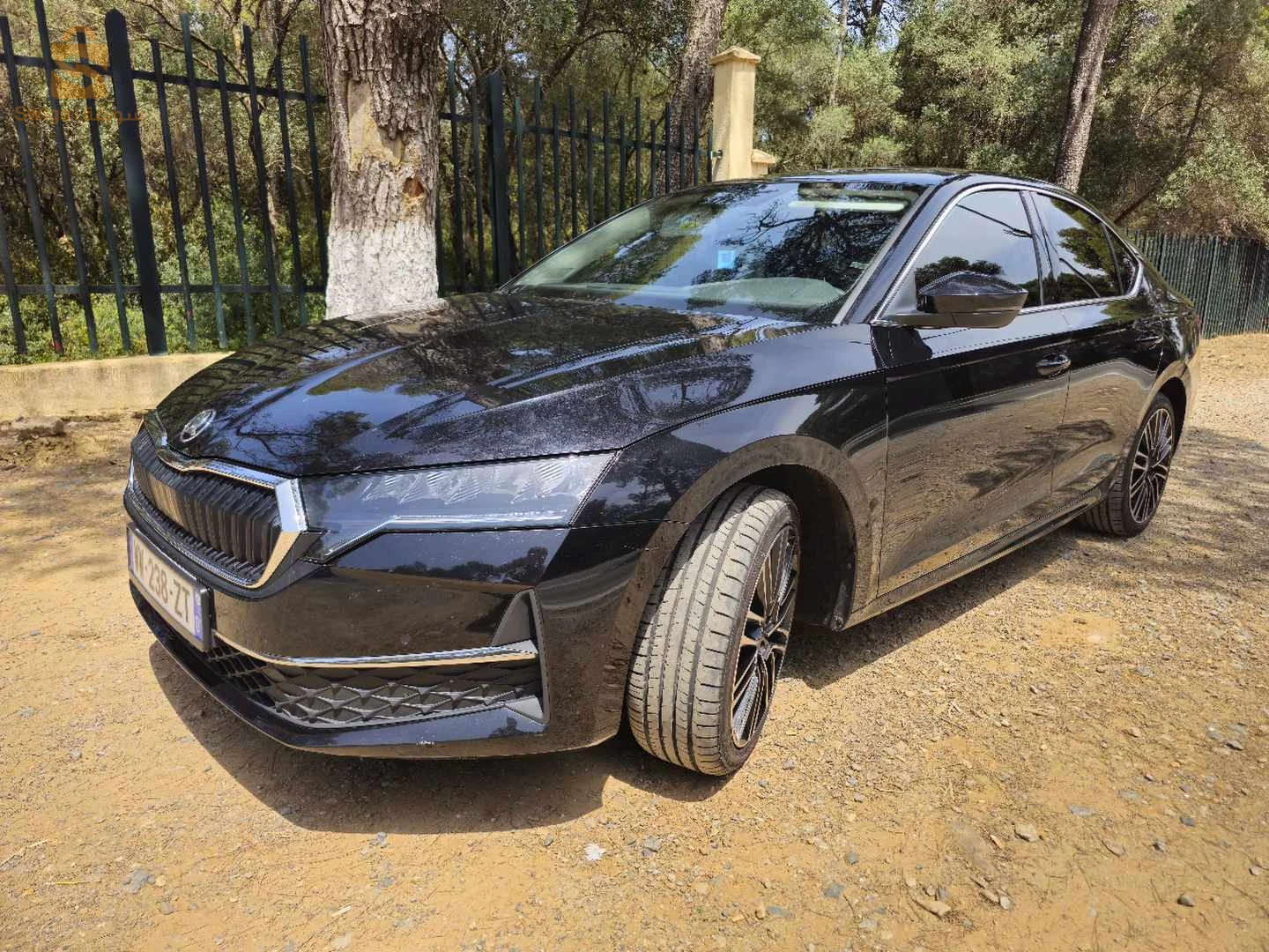 سكودا Octavia 2025 16 الجزائر