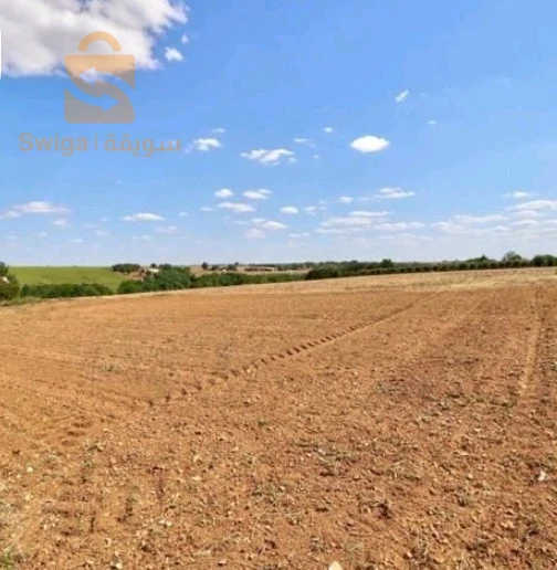 For sale Other real estate Room Number 17 DJELFA