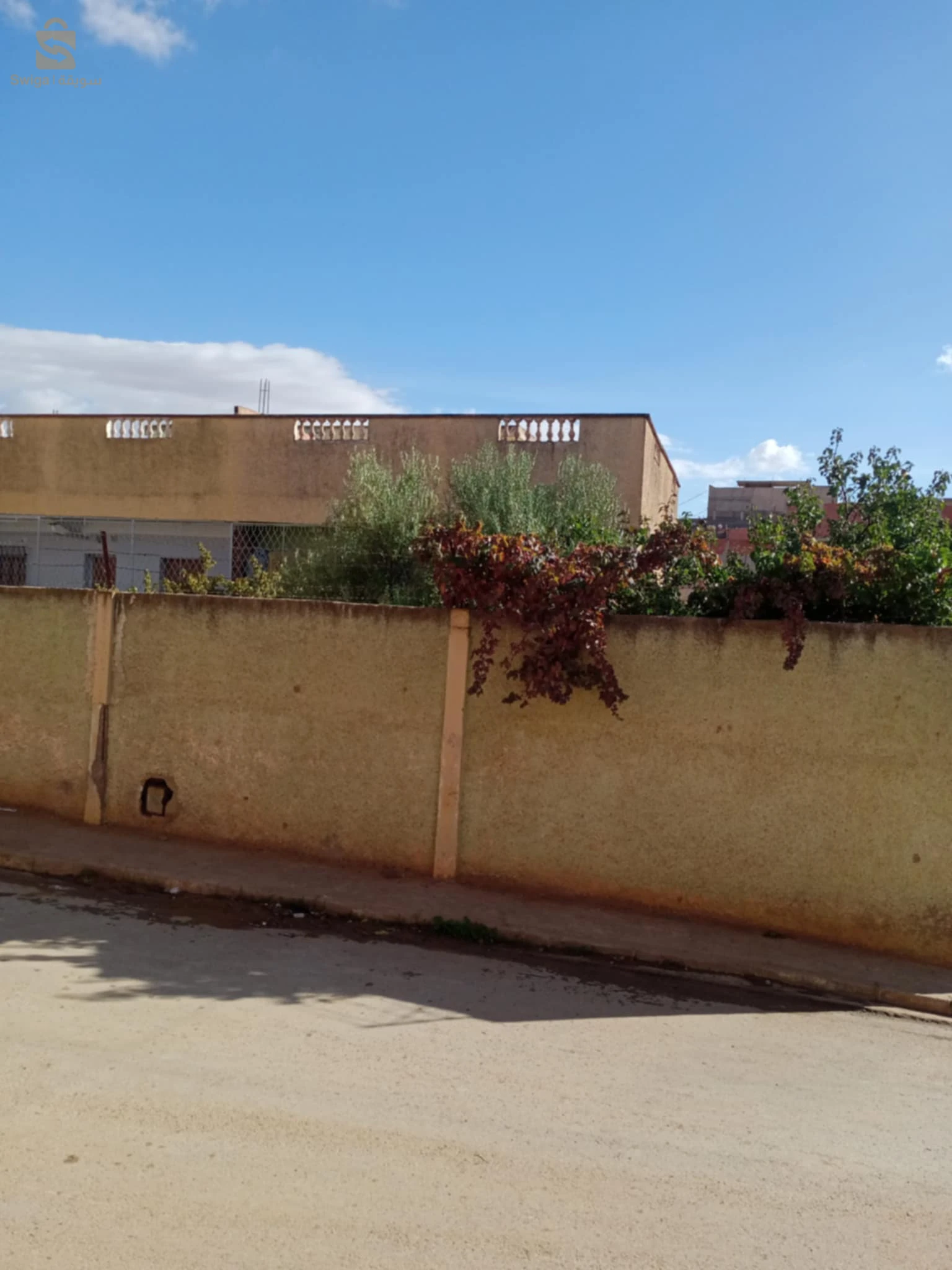 للبيع فلل سكنية عدد الغرف5 2 شلف